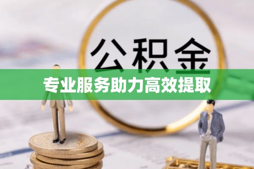 昆山专业服务助力高效提取